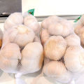 Red Garlic Purple Garlic 2020 Low Price Fresh Garlic from China